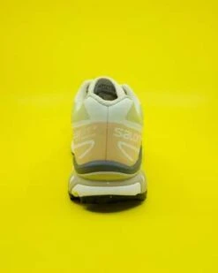 SALOMONXT-6 Shoes - Aloe Wash/Hazelnut -Grami Jean Shop XT 6 in Aloe Wash Hazelnut 20230828215135 1