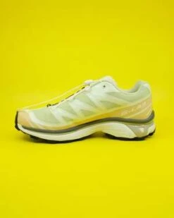 SALOMONXT-6 Shoes - Aloe Wash/Hazelnut -Grami Jean Shop XT 6 in Aloe Wash Hazelnut 20230828215135 2