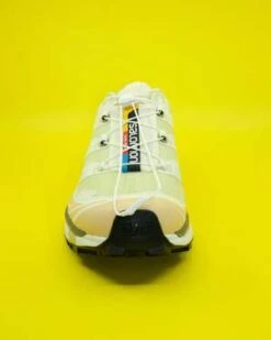 SALOMONXT-6 Shoes - Aloe Wash/Hazelnut -Grami Jean Shop XT 6 in Aloe Wash Hazelnut 20230828215135