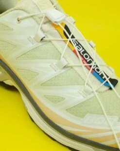 SALOMONXT-6 Shoes - Aloe Wash/Hazelnut -Grami Jean Shop XT 6 in Aloe Wash Hazelnut 20230828215136 2